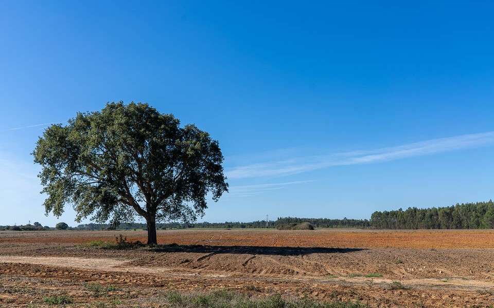 Herdade da Laranjeira