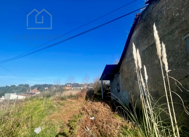 Image Slide