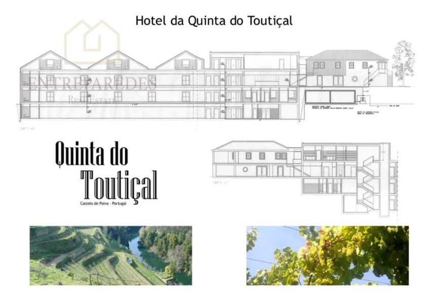 TO BUY QUINTA - HERDADE - FARM WITH PRODUCTION OF AWARD-WINNING WINES ON THE BANKS OF THE PAIVA RIVER IN CASTELO DE PAIVA, NORTHERN PORTUGAL