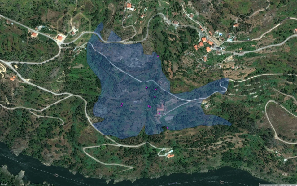 QUINTA CENTENÁRIA - QUINTA DA CARDIA, PARA COMPRAR EN MARCO DE CANAVESES, A ORILLAS DEL RÍO DUERO