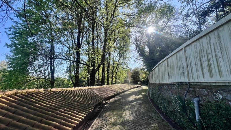 QUINTA CENTENÁRIA T6 - UM REFÚGIO COM HISTÓRIA E ALMA PARA COMPRAR EM SANTA MARIA DA FEIRA - AVEIRO