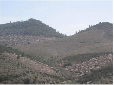 Image Slide