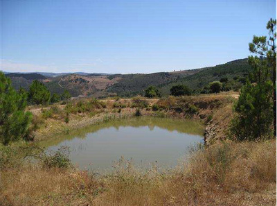 Image Slide