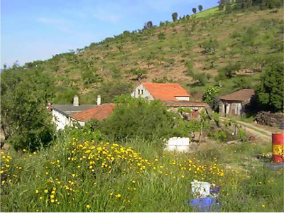 Image Slide