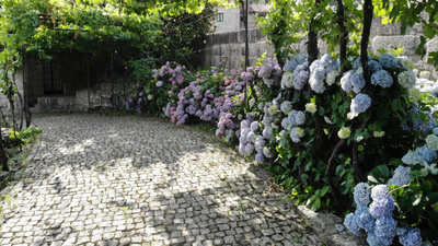 Image Slide