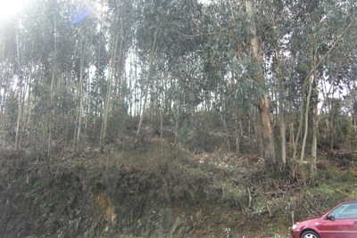 Image Slide