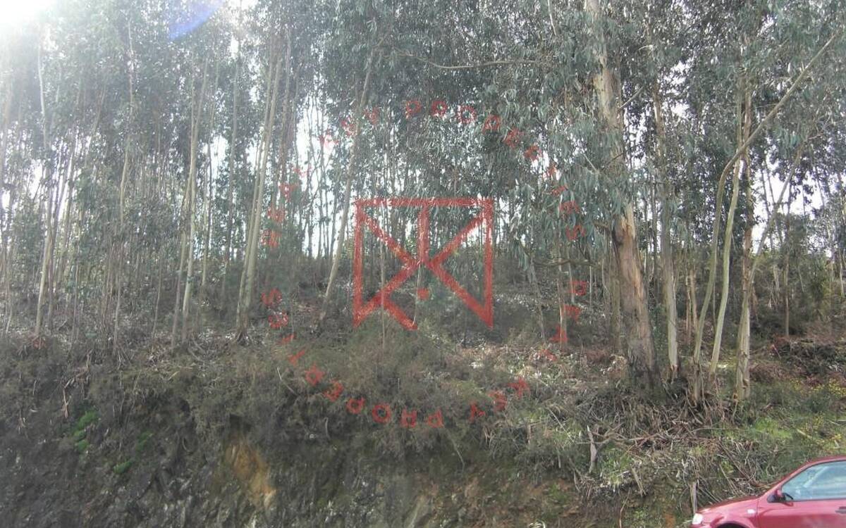 Tierra de Lordelo-Paredes