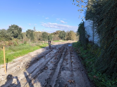 Image Slide