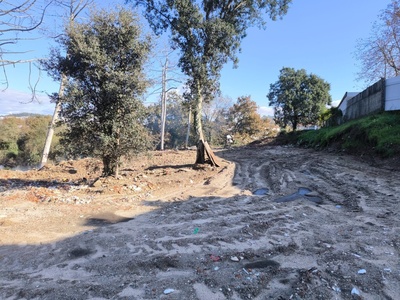 Image Slide