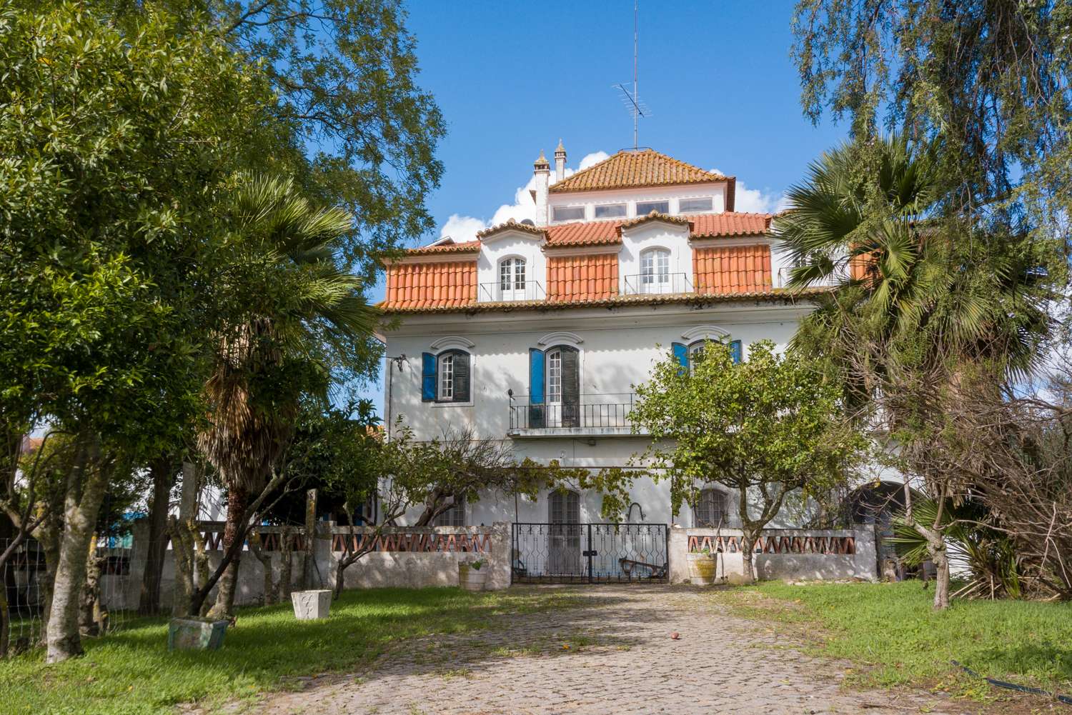 5.6 ha farm near the gates of Évora