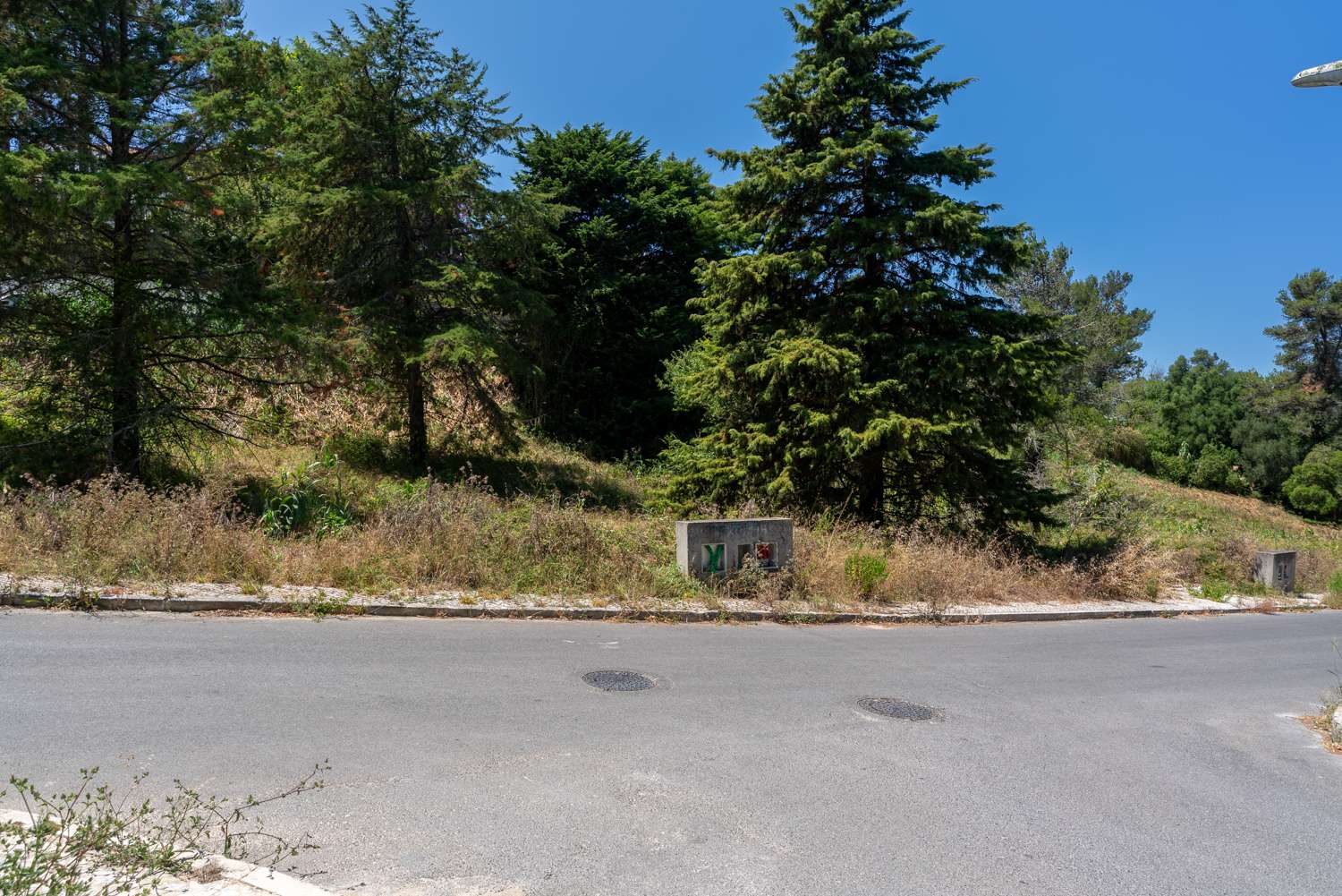 Image Slide