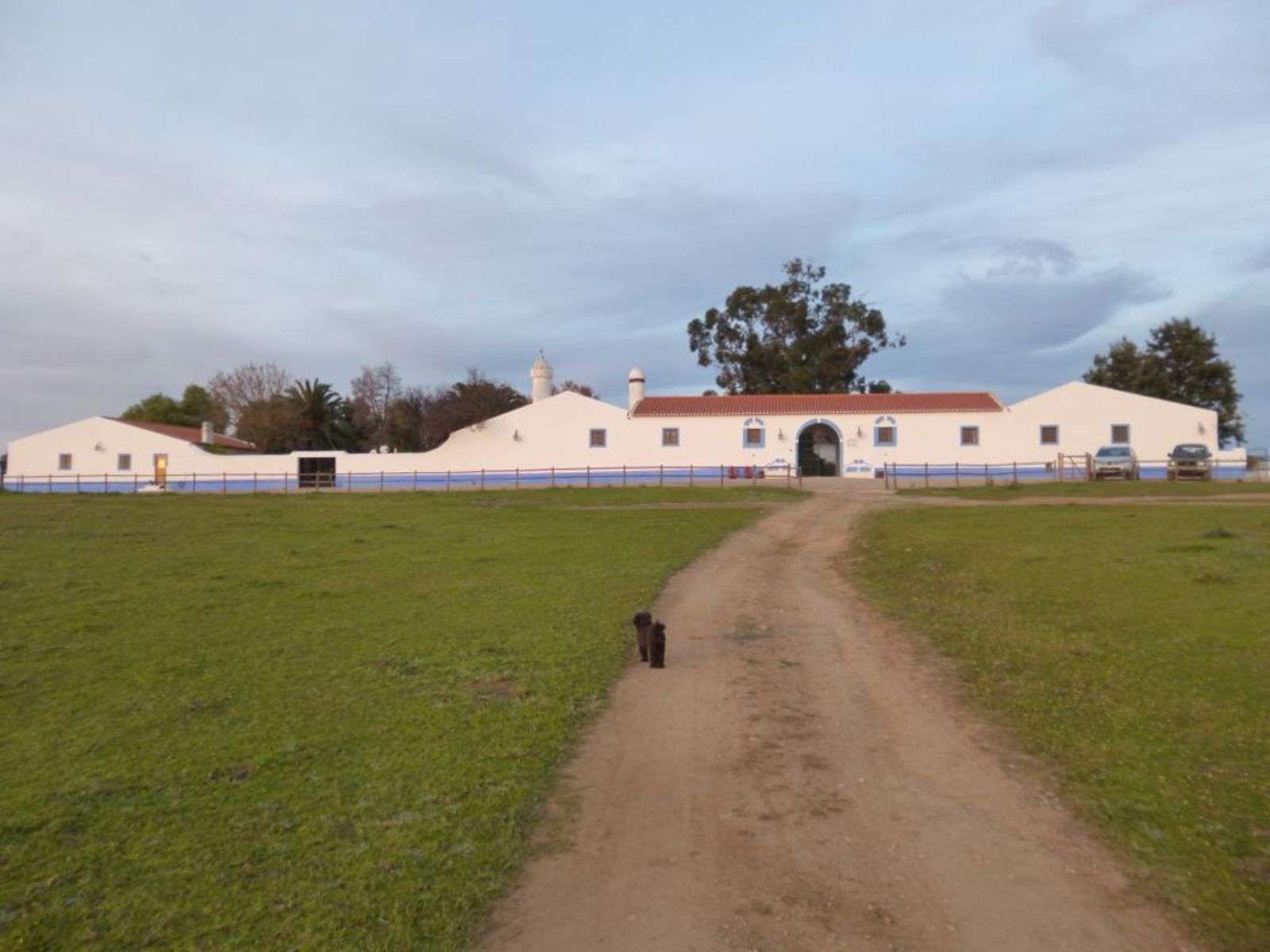 PG04866 Property with 1800 ha for sale in Moura