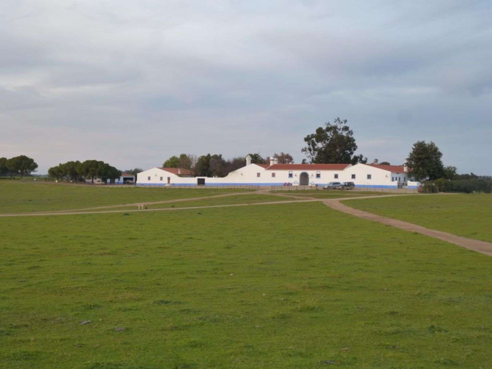 PG04866 Property with 1800 ha for sale in Moura