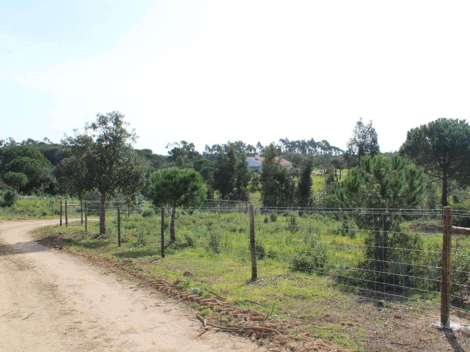 PG05088 3.9hectare plot of land with planning permission in Melides