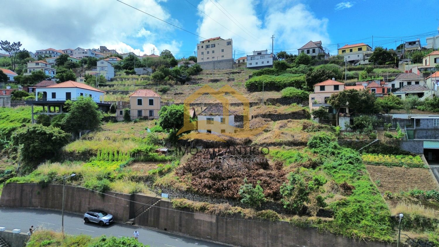 Image Slide