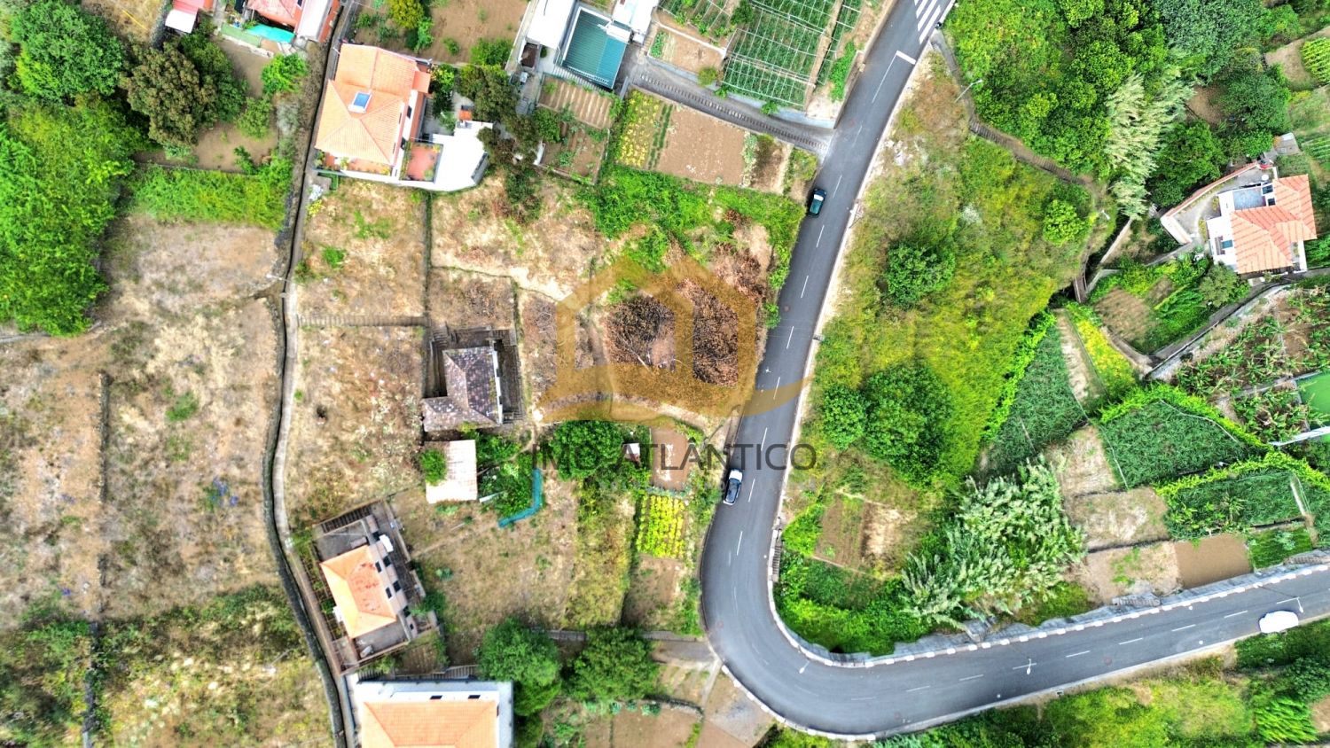 Image Slide