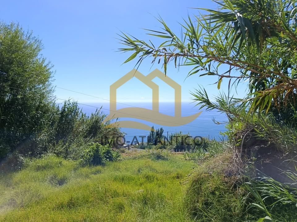 Flat Plot with Sea Views in Arco da Calheta