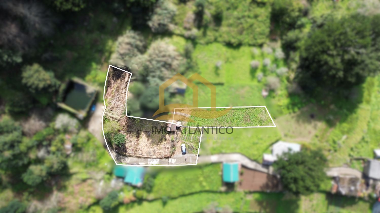 Image Slide