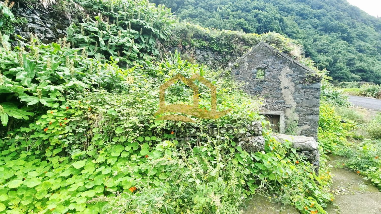 Image Slide