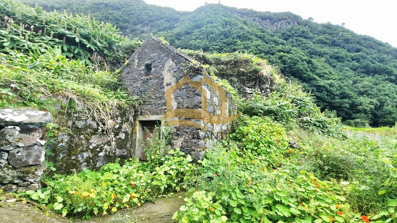 Image Slide