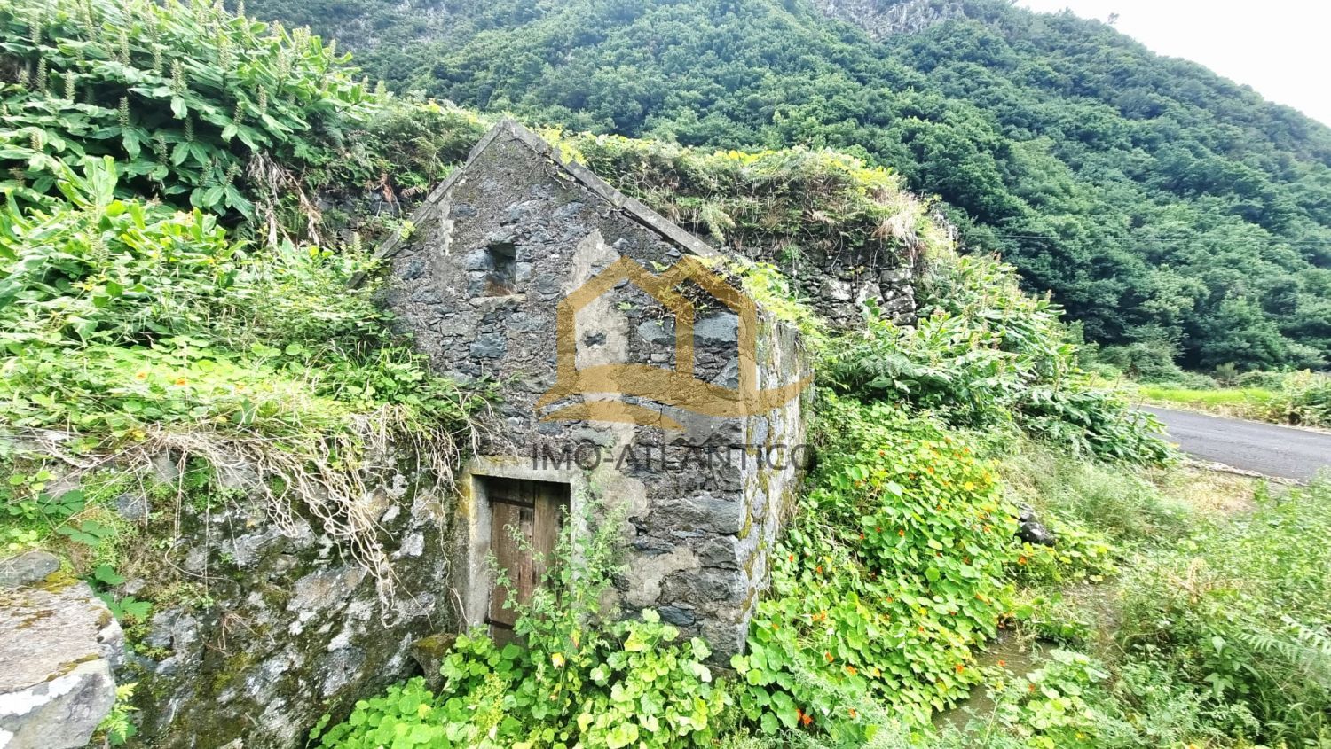Image Slide