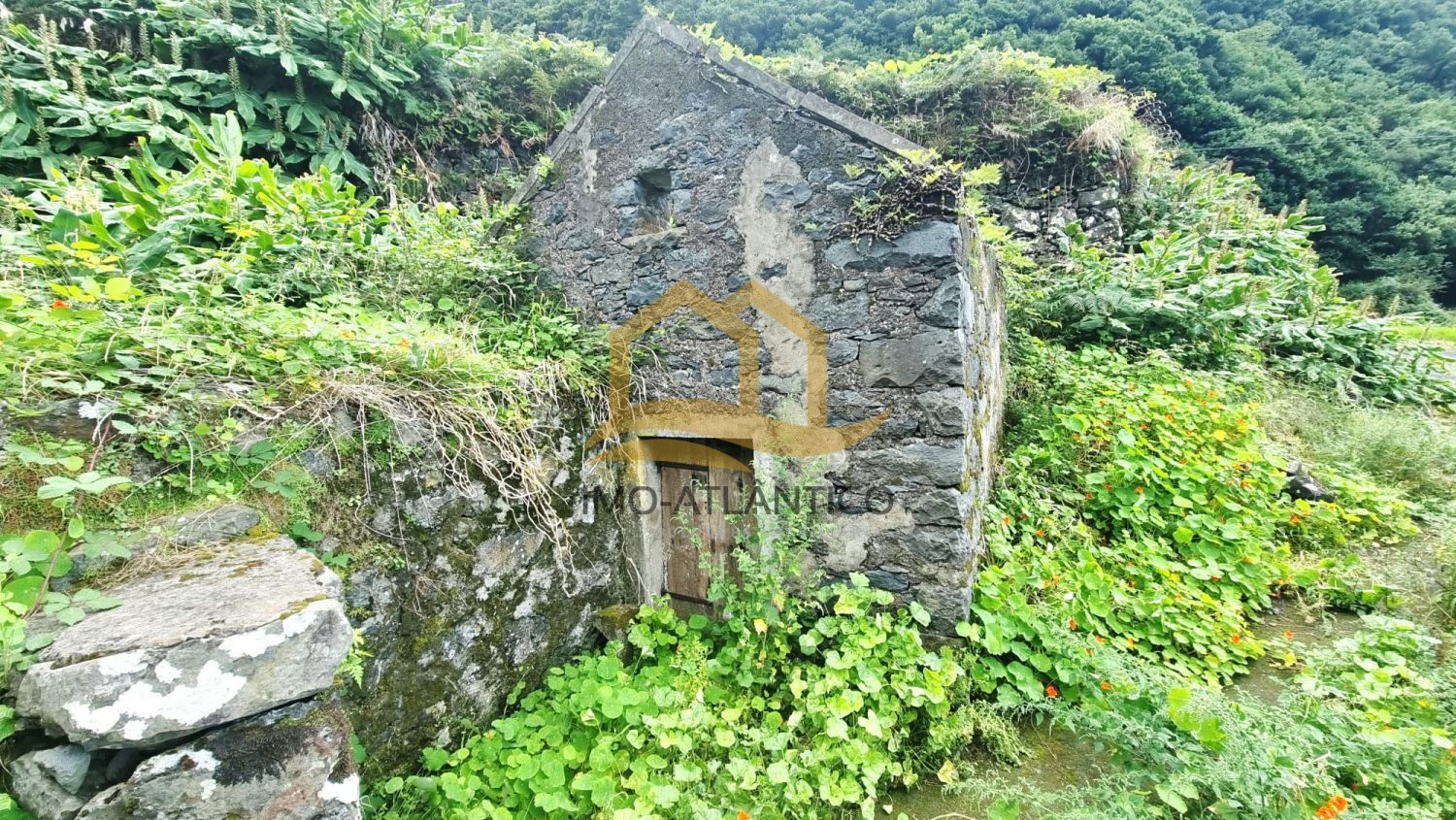 Image Slide