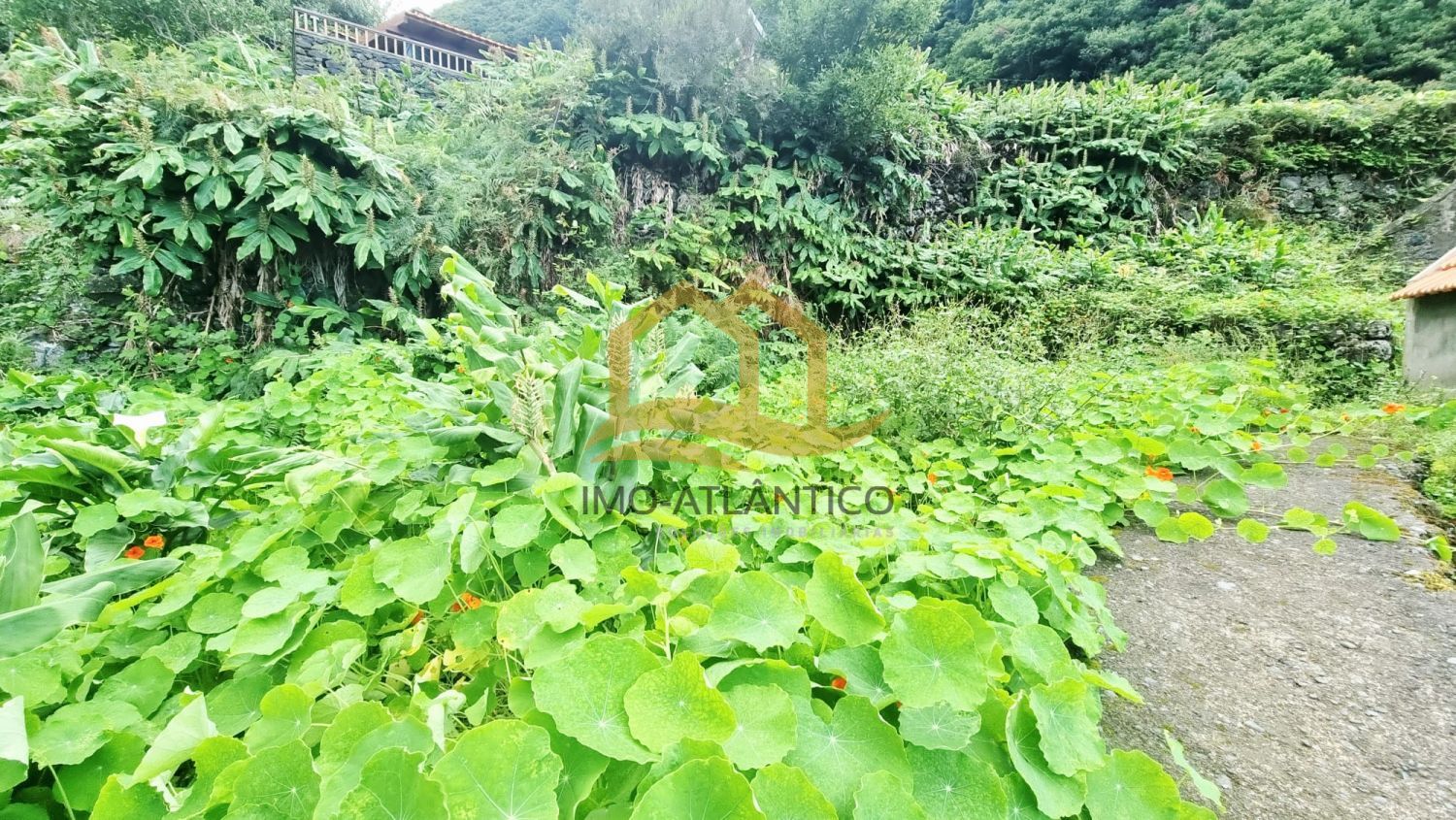 Image Slide