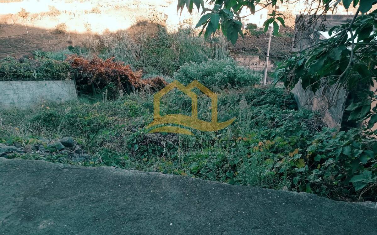 Terreno rústico en Estreito Câmara de Lobos