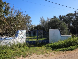 Image Slide