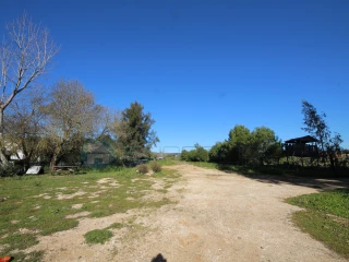 Image Slide