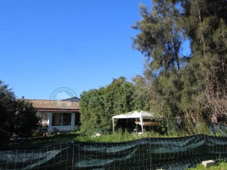 Image Slide