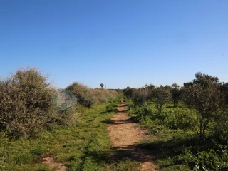 Image Slide