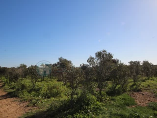Image Slide