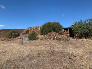 Image Slide