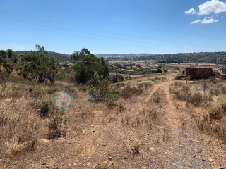 Image Slide