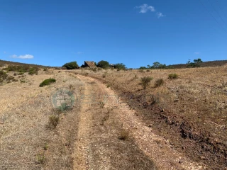 Image Slide