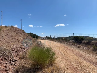Image Slide