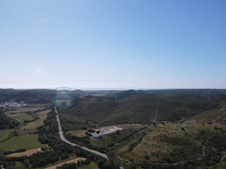 Image Slide