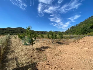 Image Slide