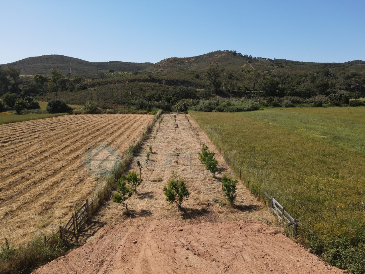 Rustic Land with Private Well in Bordeira – Aljezur