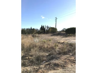 Image Slide