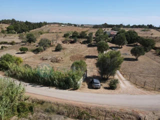 Image Slide