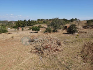 Image Slide