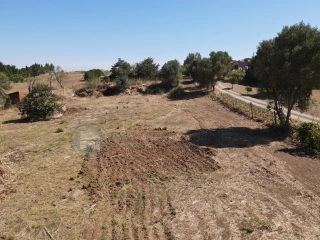 Image Slide