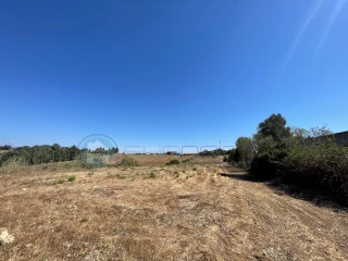 Image Slide