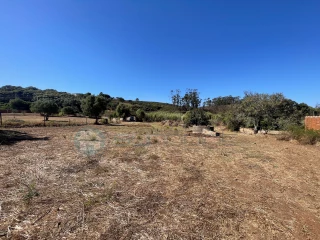 Image Slide