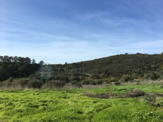 Image Slide