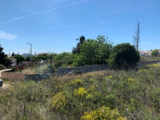 Image Slide