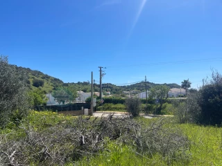 Image Slide