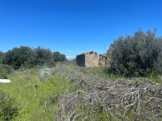Image Slide